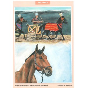Miniposterset Dieren uit de Bijbel, H. vd Brink